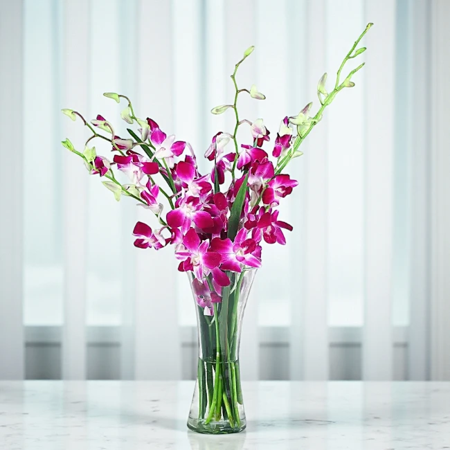 Elegant Orchid Delight