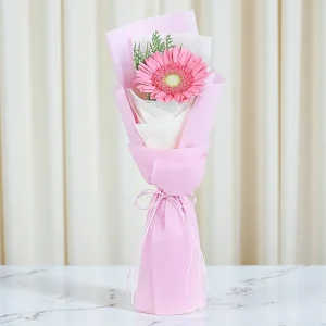 Blushing Gerbera Bloom