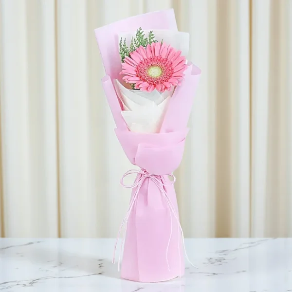 Blushing Gerbera Bloom