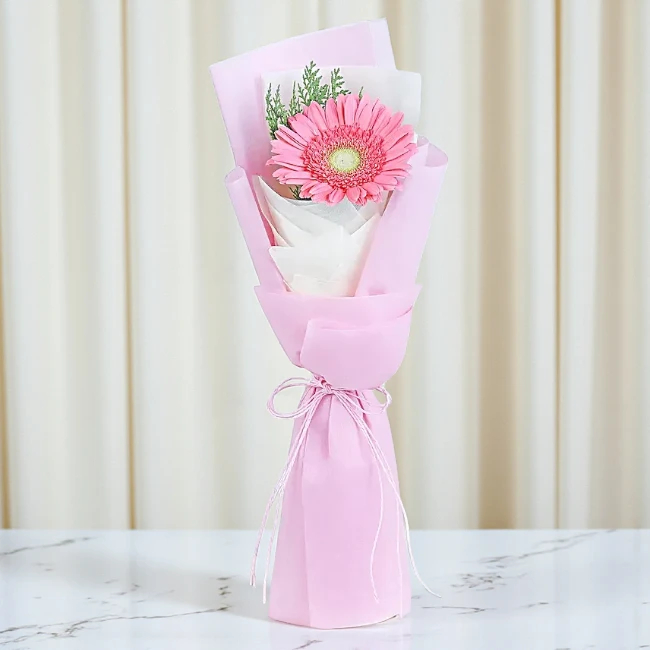 Blushing Gerbera Bloom