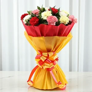 Cheerful Delight Carnations