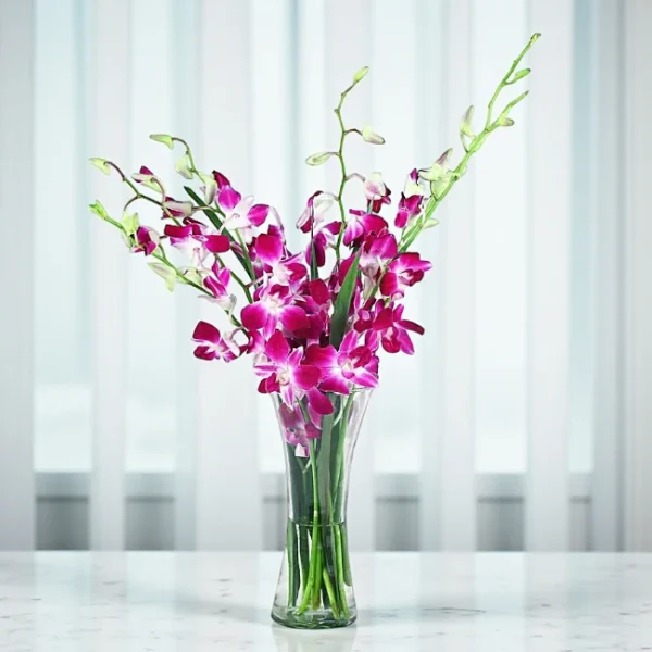 Elegant Orchid Delight