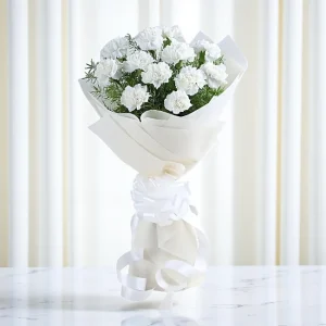 Eternal Peace Carnations