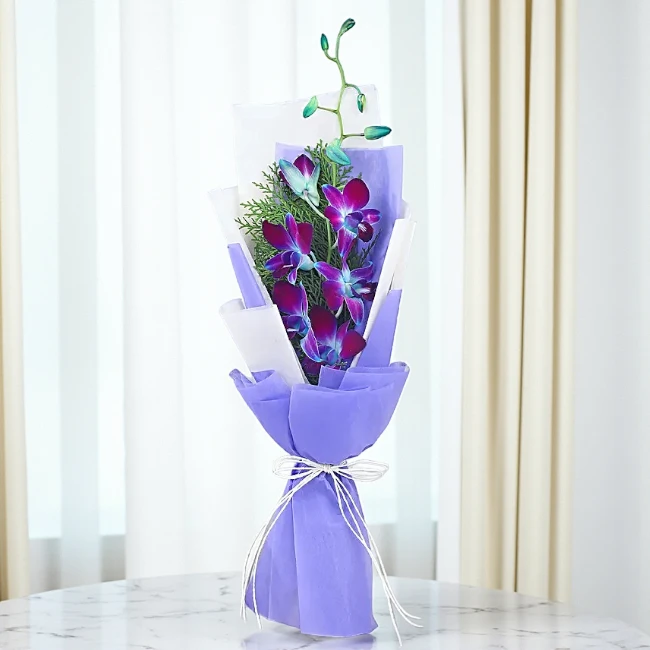 Majestic Orchid Elegance