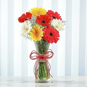 Mixed Gerberas Vase