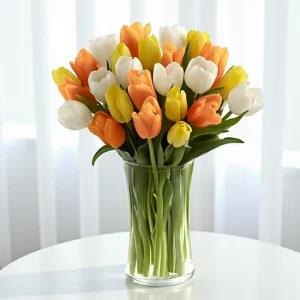 Petal Fantasy Tulips