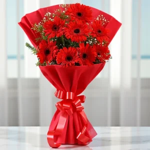 Radiant Red Gerberas