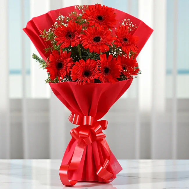 Radiant Red Gerberas