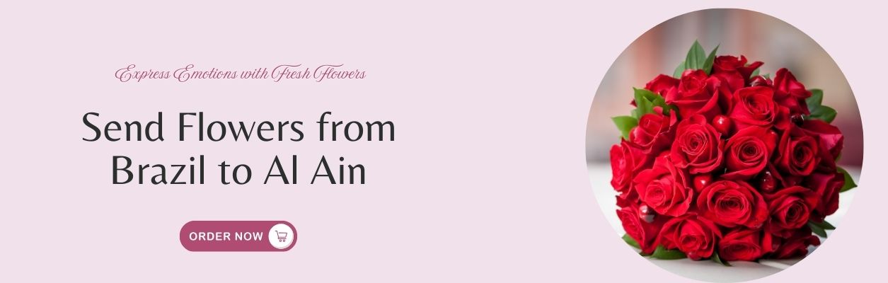 Send Flowers from Brazil to Al Ain