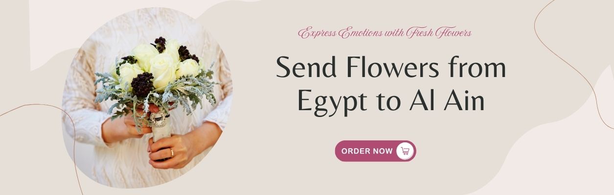 Send Flowers from Egypt to Al Ain