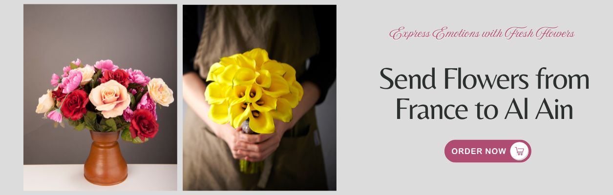 Send Flowers from France to Al Ain