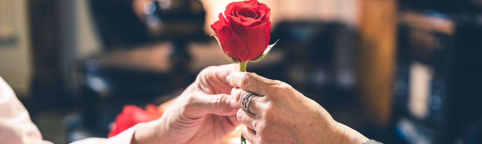 Where to Buy Valentine’s Day Flowers in Al Ain